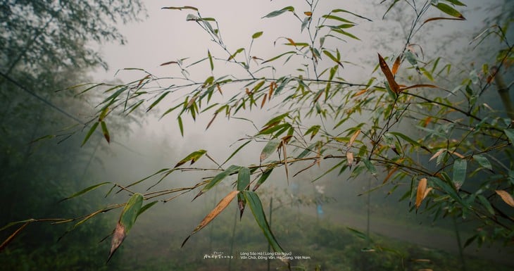 làng địa ngục - Ảnh 9.