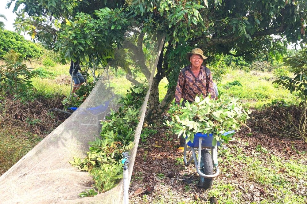 Đẩy “xe rùa” đầy ắp nhãn, nhưng ông Đổi không vui