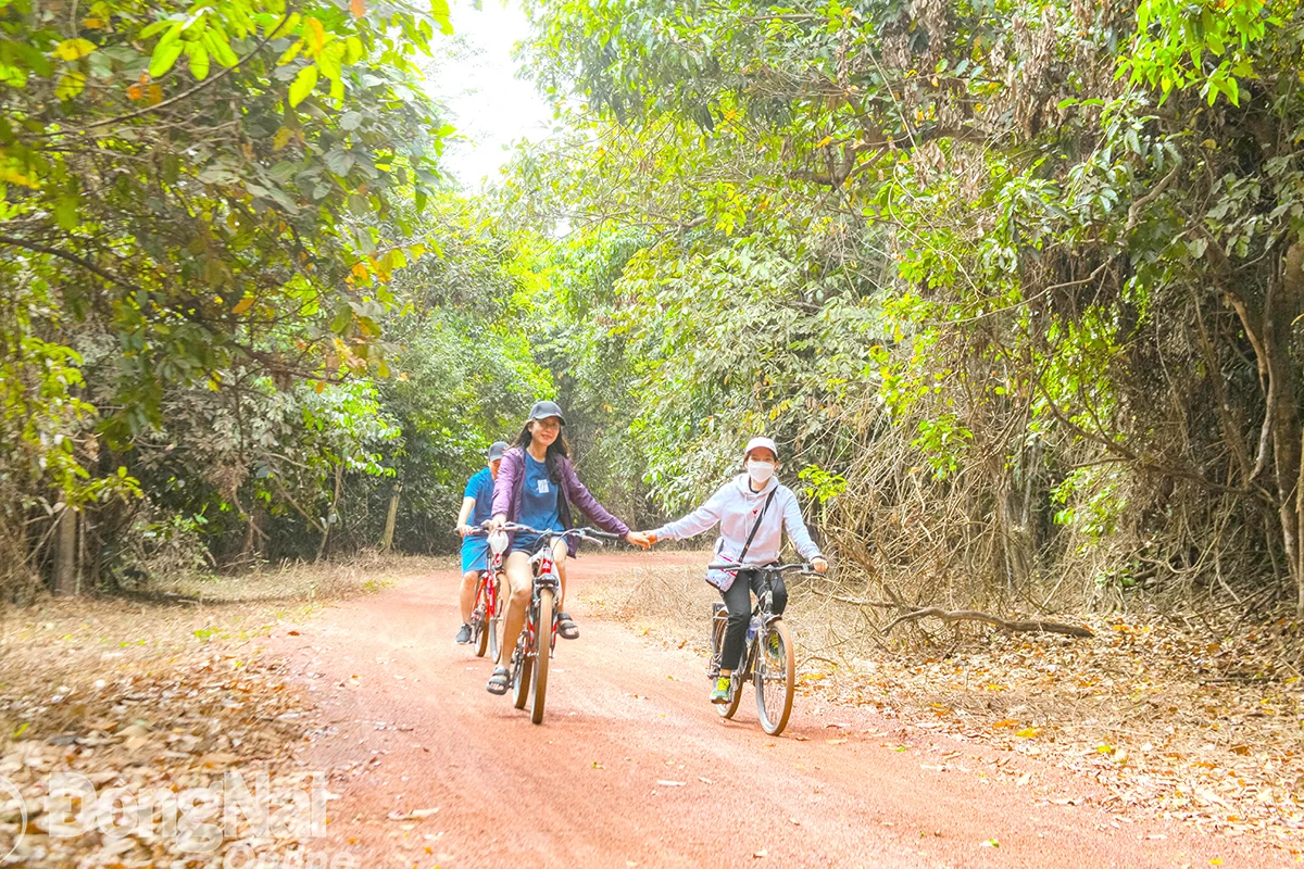 ភ្ញៀវទេសចរណ៍ទទួលបានបទពិសោធន៍ព្រៃឈើ និងបឹងនៅឧទ្យានធម្មជាតិ និងវប្បធម៌ដុងណៃ។ រូបថត៖ ង៉ុក លៀន