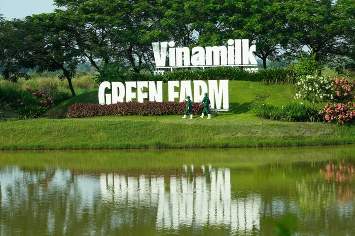 'Mở khóa tự nhiên': Vinamilk biến rào cản thành vòng tuần hoàn xanh tại trang trại sinh thái- Ảnh 8.