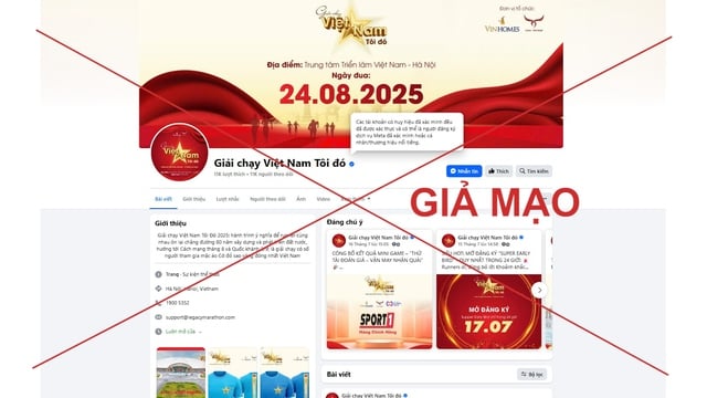 Giả mạo fanpage giải chạy ‘Việt Nam tôi đó’ để lừa đảo: Mọc như nấm- Ảnh 3.