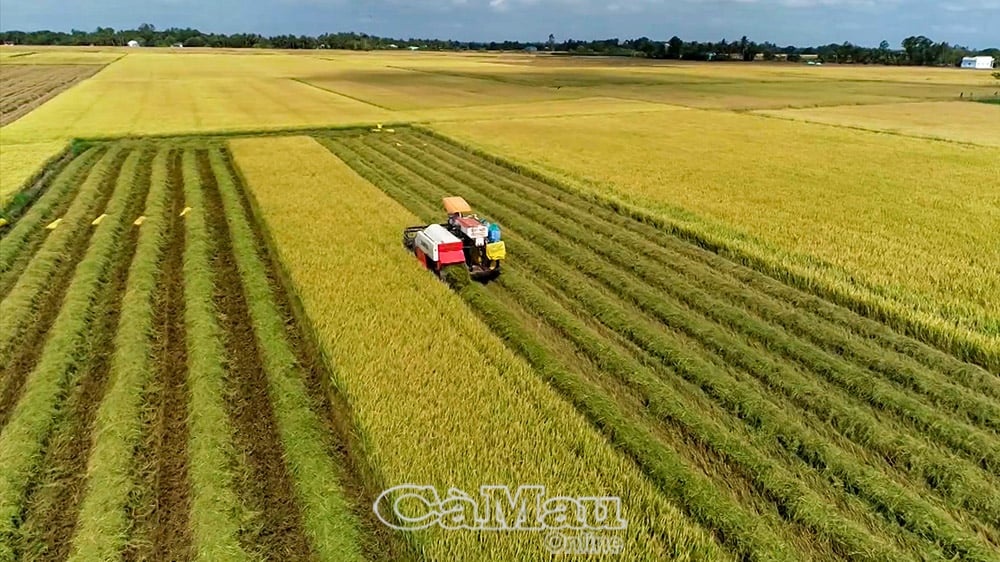 Xã Vĩnh Thanh hiện nay sử dụng cơ giới hoá hoàn toàn trong sản xuất nông nghiệp.