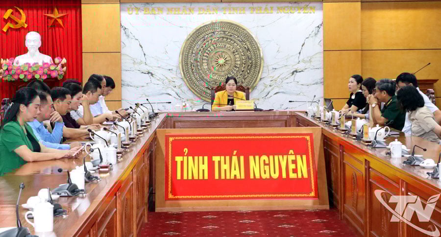 គណៈប្រតិភូចូលរួមសន្និសីទនៅចំនុចស្ពានអនឡាញខេត្ត Thai Nguyen។