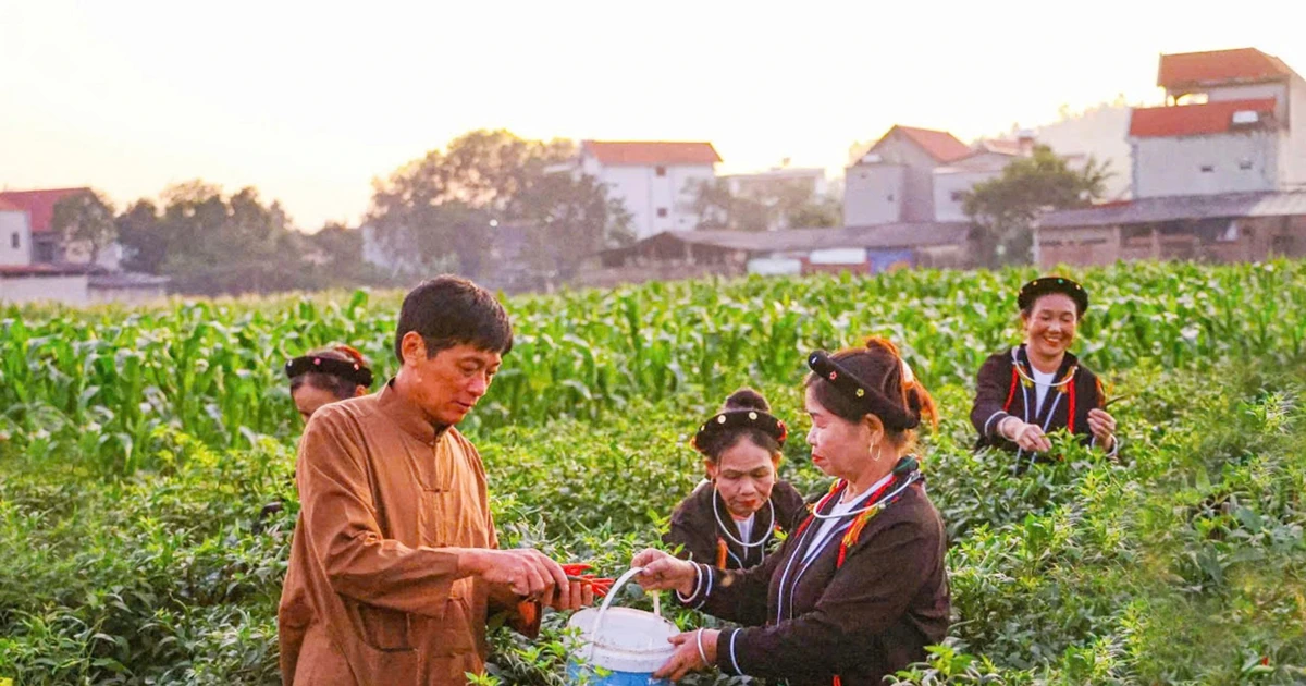 Khởi sắc kinh tế - xã hội ở Đạo Trù