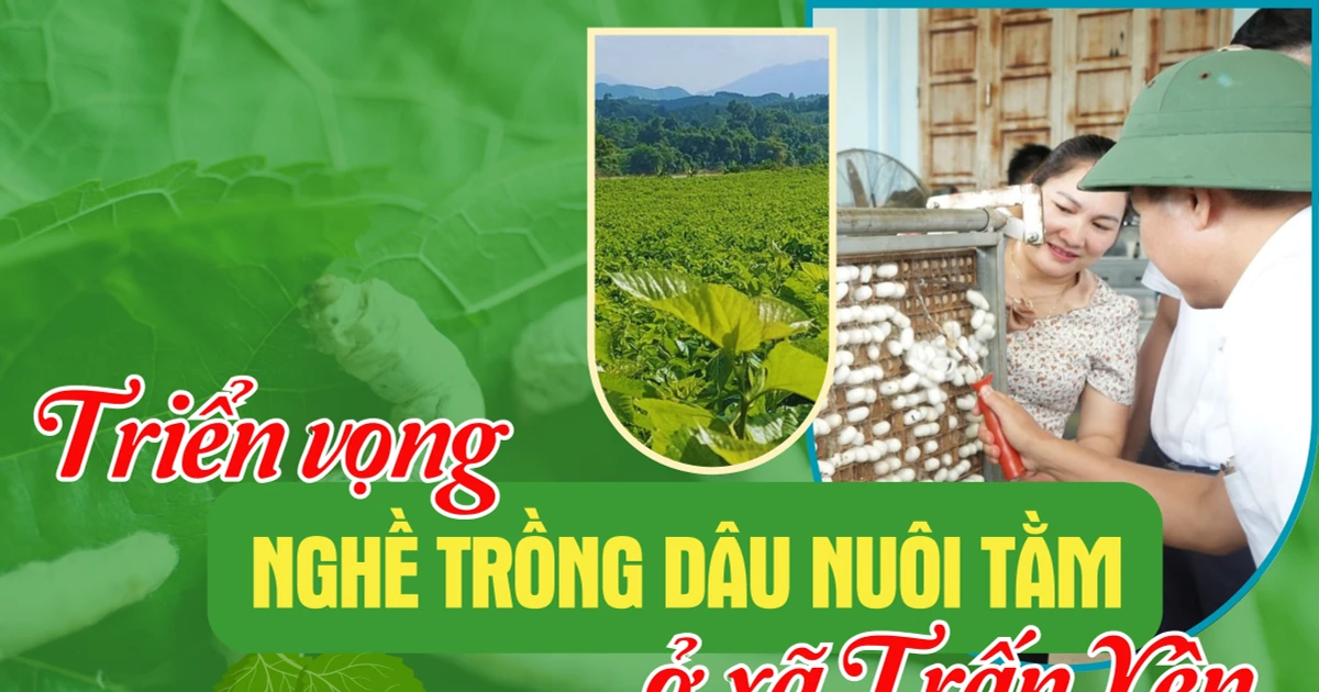 ទិដ្ឋភាព​នៃ​ការ​ដាំ​ដុះ និង​កសិកម្ម​នៅ​ឃុំ​ត្រាន់យ៉េន