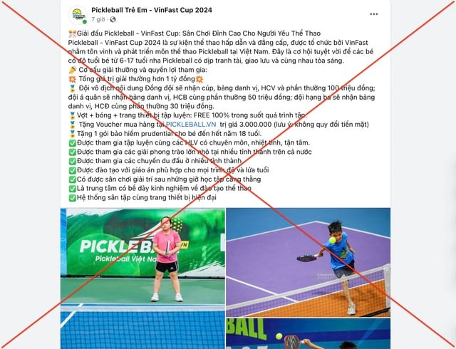 Giả mạo fanpage giải chạy ‘Việt Nam tôi đó’ để lừa đảo: Mọc như nấm- Ảnh 4.