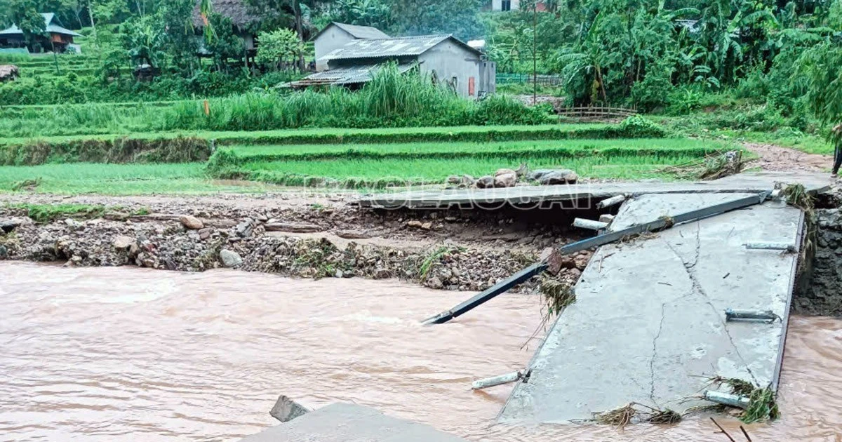 Storm No. 3 damaged 113 houses