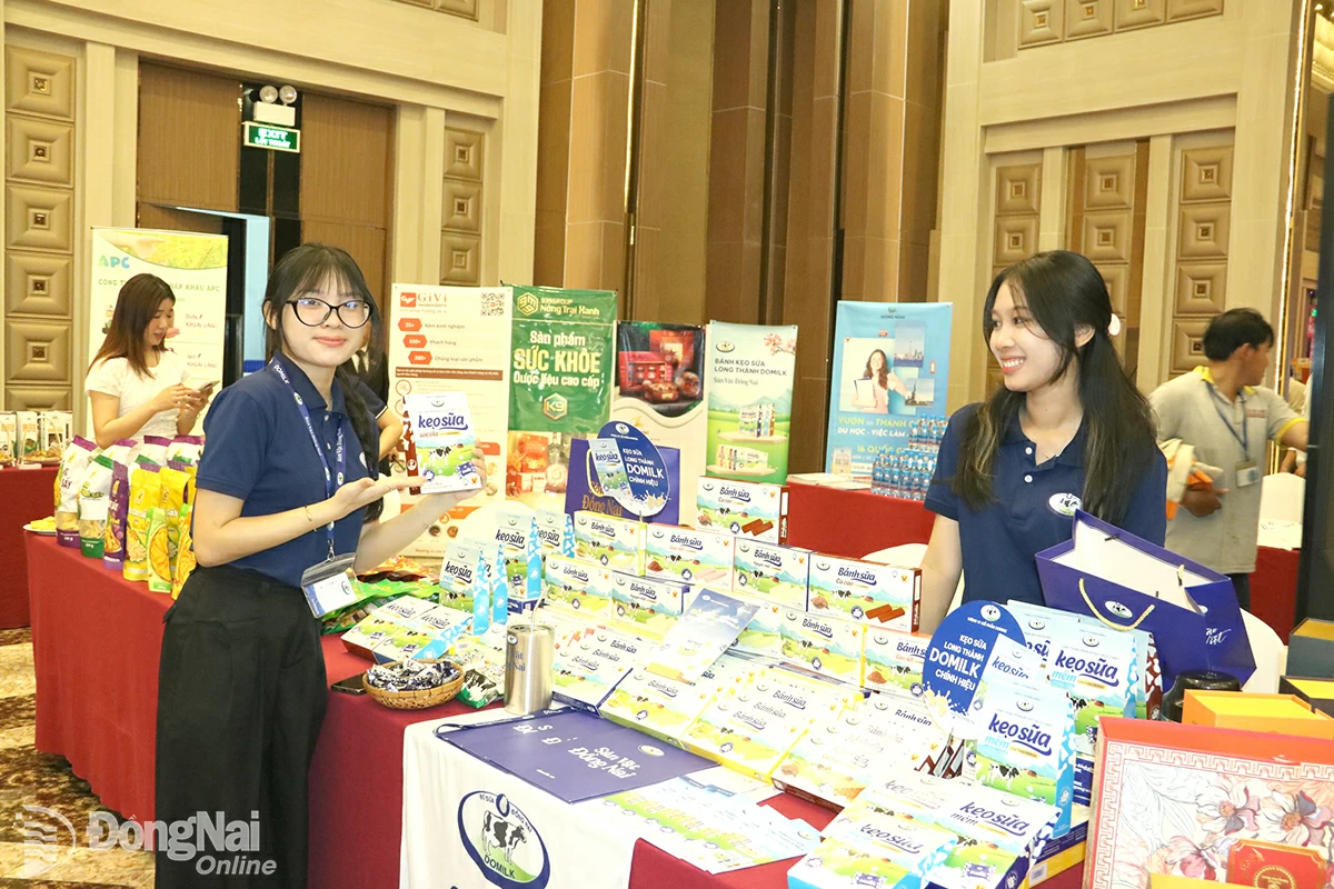 Công ty CP Domilk đang nỗ lực để kết nối, xây dựng vùng nguyên liệu bò sữa. Ảnh: V.GIA

