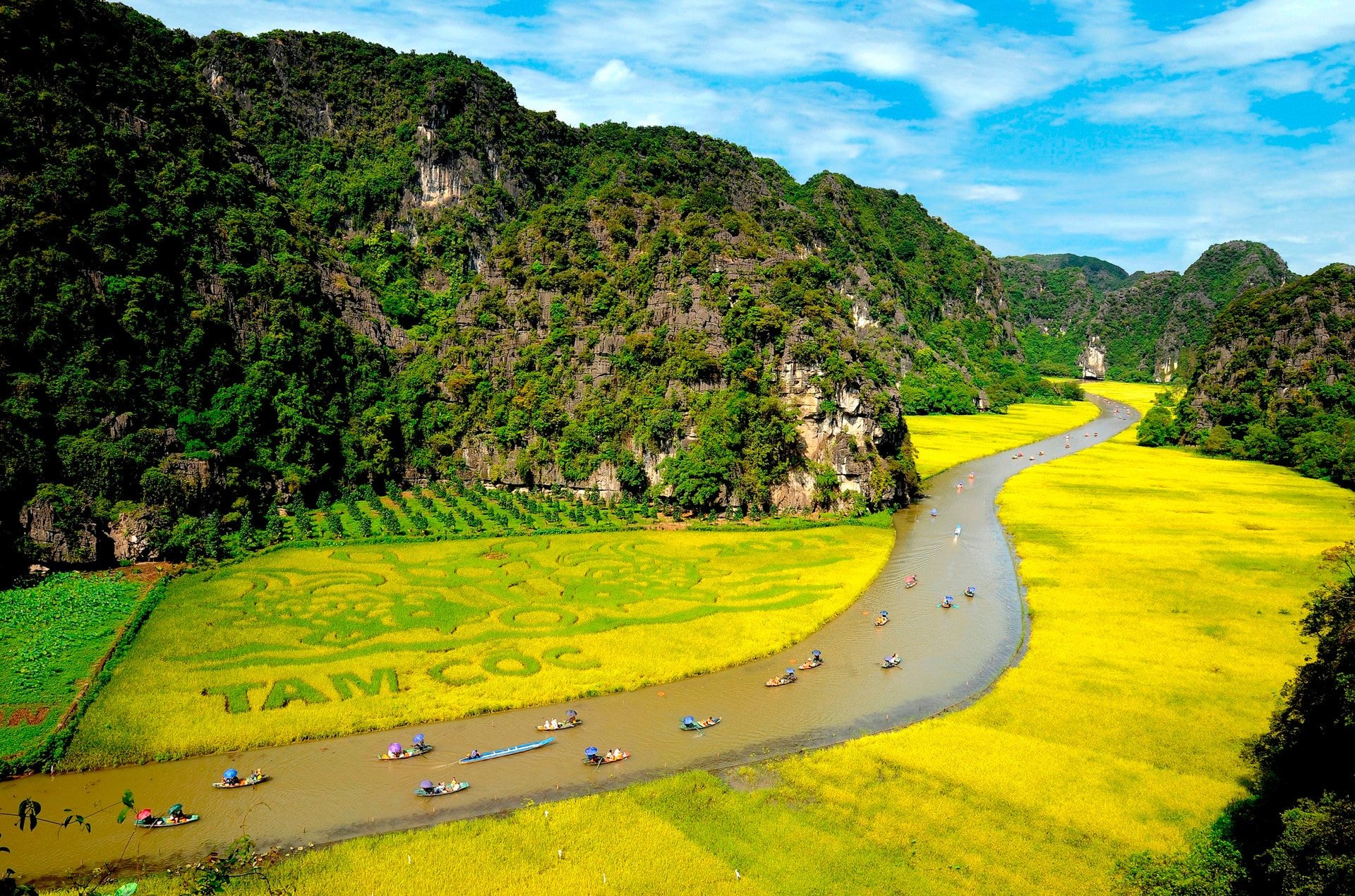 Experience of traveling to Ninh Binh 1 day on your own