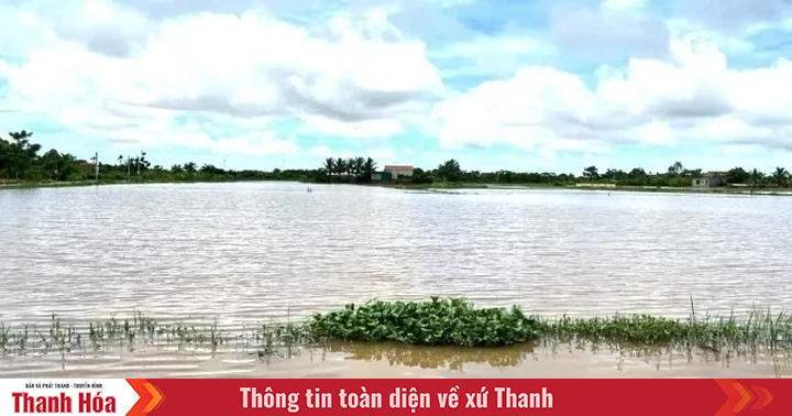 Proactively respond to heavy rain, risk of floods, inundation, flash floods, landslides