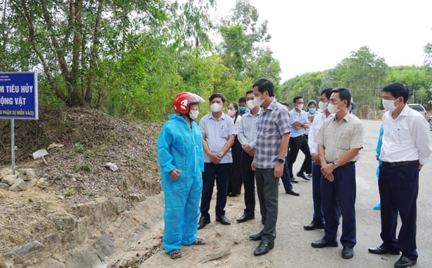 Dịch tả heo châu Phi dần được khống chế khi cả hệ thống chính trị vào cuộc -0