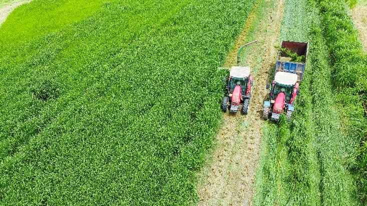 'Mở khóa tự nhiên': Vinamilk biến rào cản thành vòng tuần hoàn xanh tại trang trại sinh thái- Ảnh 10.