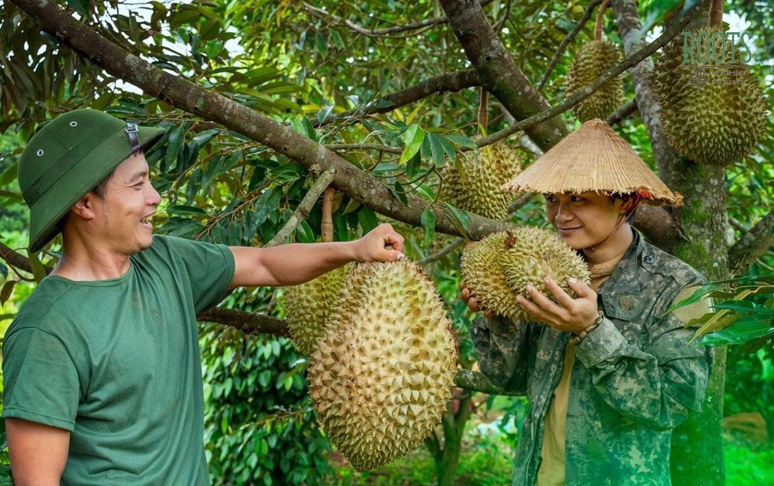 Sầu riêng Việt Nam phục hồi xuất khẩu sang Trung Quốc
