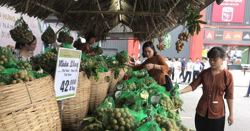 Nhãn lồng là đặc sản nổi tiếng của tỉnh nào?