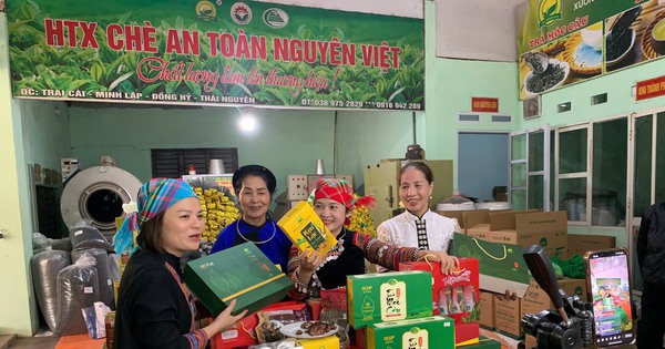 Chè Thái bứt phá nhờ ứng dụng khoa học công nghệ