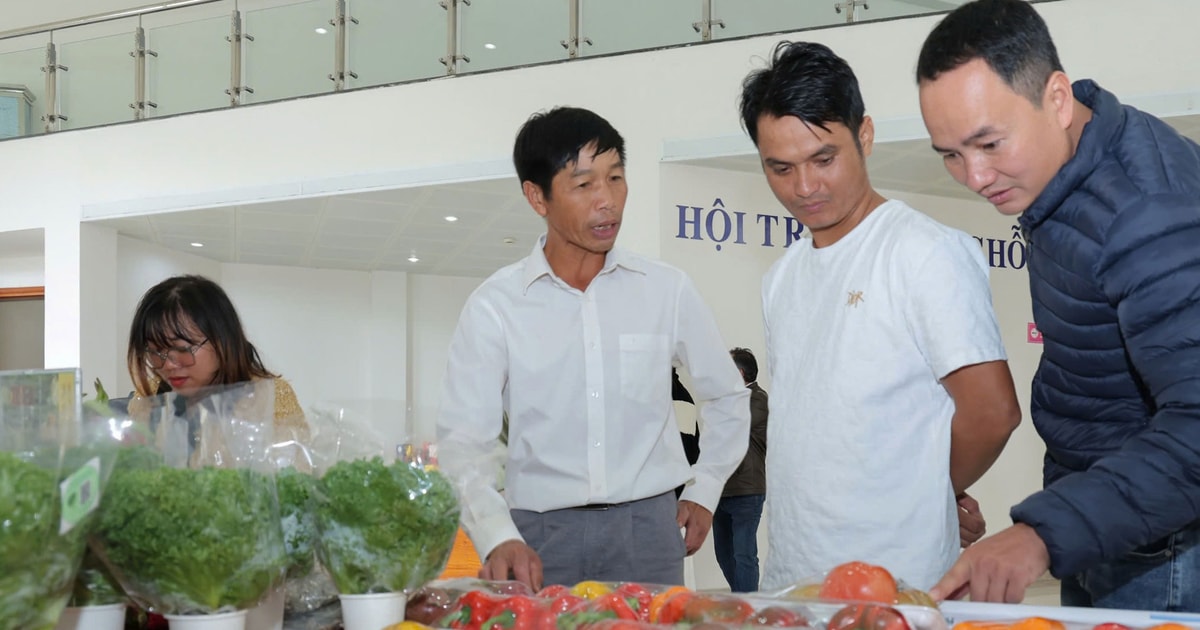 Lam Dong ផ្គត់ផ្គង់បន្លែ និងផ្លែឈើសុវត្ថិភាព 90% ប្រើប្រាស់នៅទីក្រុងហូជីមិញ។