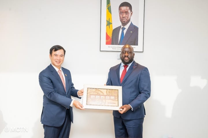 Việt Nam và Senegal mở ra hợp tác lịch sử về Viễn thông, Công nghệ số, Đổi mới sáng tạo và phát triển nguồn nhân lực số - Ảnh 4.