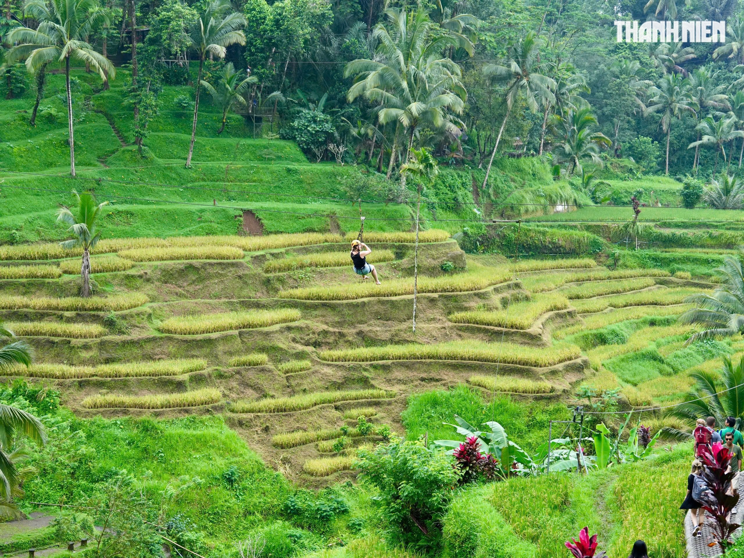 Giải mã bí ẩn trên ruộng bậc thang khiến du khách mê mẩn ở đảo Bali- Ảnh 10.