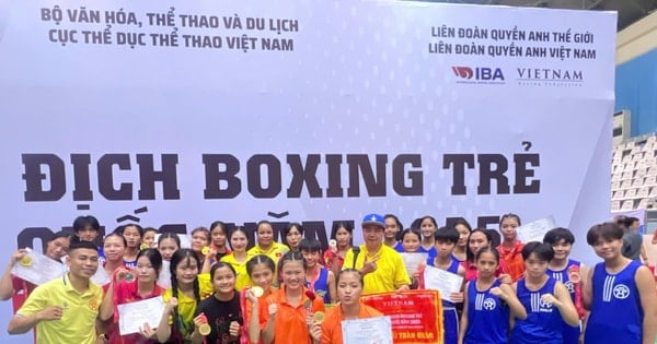 ហាណូយ​ដណ្តើម​បាន​ចំណាត់​ថ្នាក់​លេខ​១​ក្នុង​ការ​ប្រកួត​ប្រដាល់​យុវជន​ថ្នាក់​ជាតិ