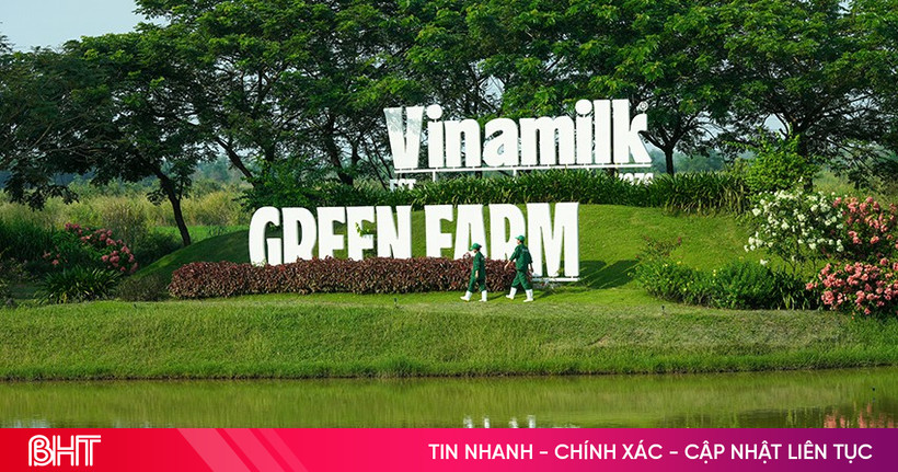 Trang trại Vinamilk Green Farm có gì đặc biệt?