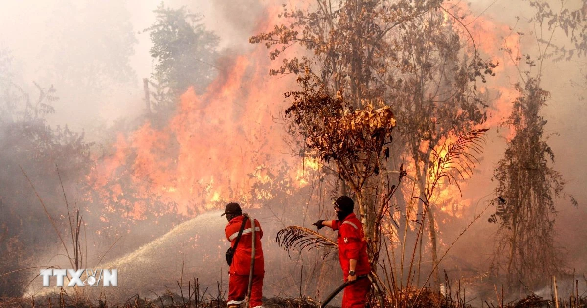 Indonesia: Activate artificial rain to extinguish forest fires