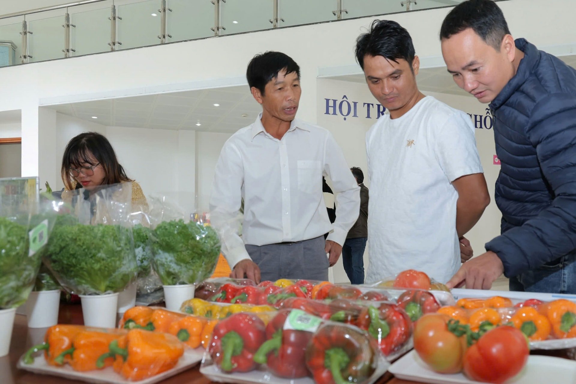 trugn-bay-sf-nong-nghiep.jpg