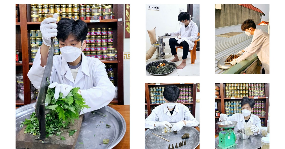 Nụ thảo dược đuổi muỗi của một học sinh mê y học cổ truyền