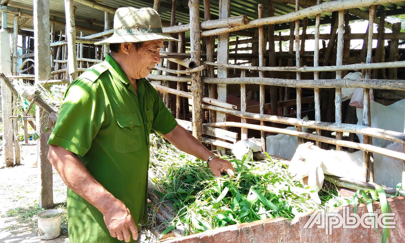 លោក Doi ថែរក្សាពពែរបស់គ្រួសារគាត់។