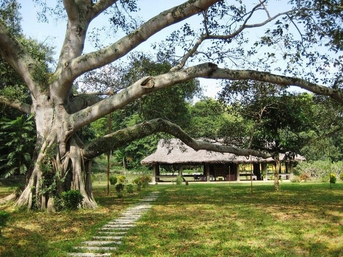 khu-di-tich-lich-su-tan-trao-dau-an-lich-su-oai-hung.jpg