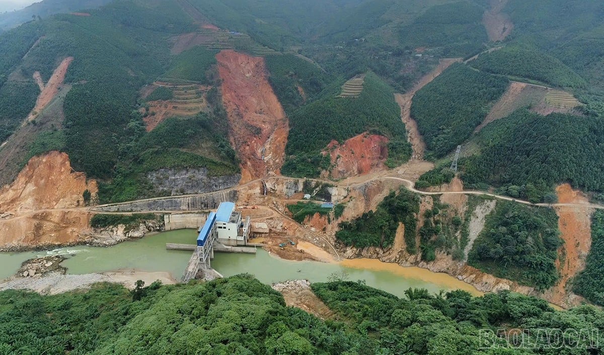 baolaocai-br_namluc-1.jpg