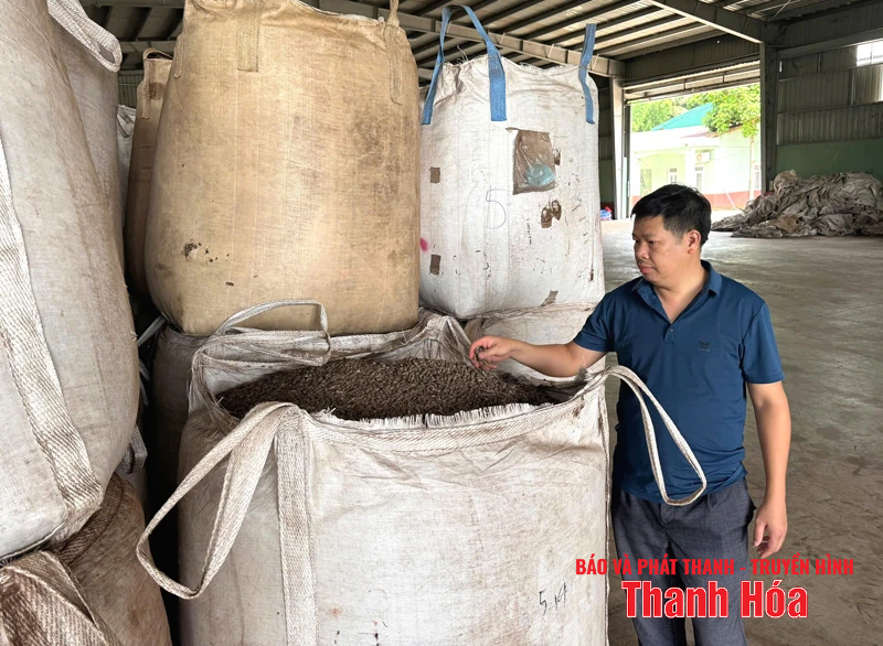 Linh Son développe une industrie de transformation des produits forestiers