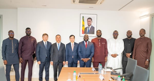 Việt Nam và Senegal mở ra hợp tác lịch sử về viễn thông, công nghệ số, đổi mới sáng tạo và phát triển nguồn nhân lực số