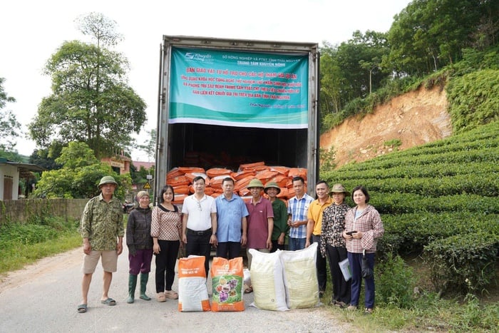 Chè Thái bứt phá nhờ ứng dụng khoa học công nghệ- Ảnh 1.