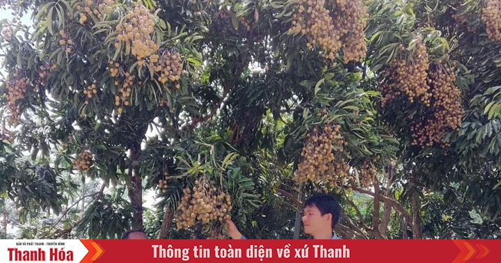 Trưởng bản 8X nhiệt huyết