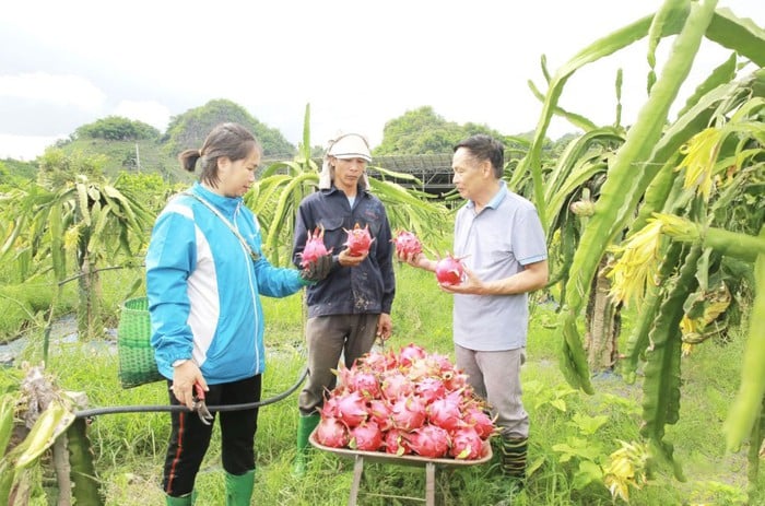 Chuyển đổi số - "Chìa khóa" nâng tầm nông sản địa phương- Ảnh 1.