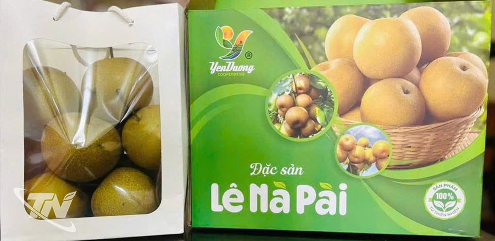 Hợp tác xã Yến Dương hỗ trợ các thành viên xây dựng bao bì sản phẩm lê.