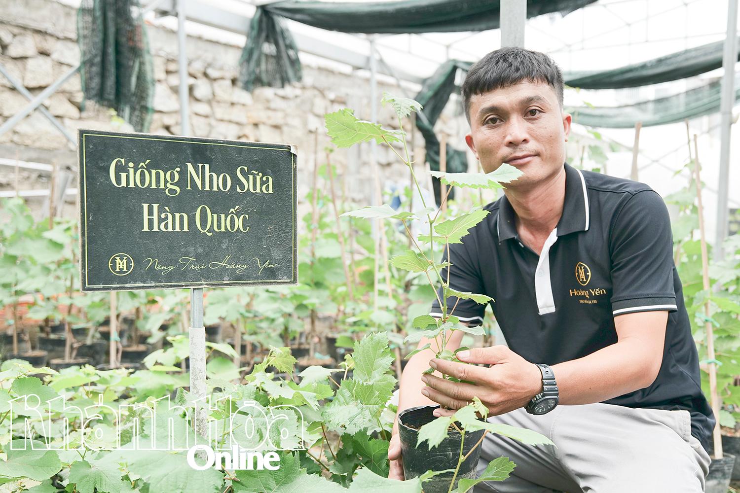 Tống Minh Hoàng bên những cây nho giống chất lượng, sẵn sàng chuyển giao 
cho các đối tác trên toàn quốc.
