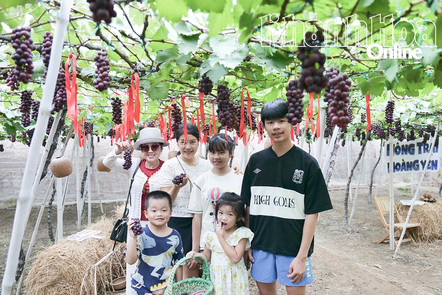 Nông trại Hoàng Yến thu hút đông đảo du khách “mục sở thị” và thưởng thức nho tươi ngay tại vườn.
