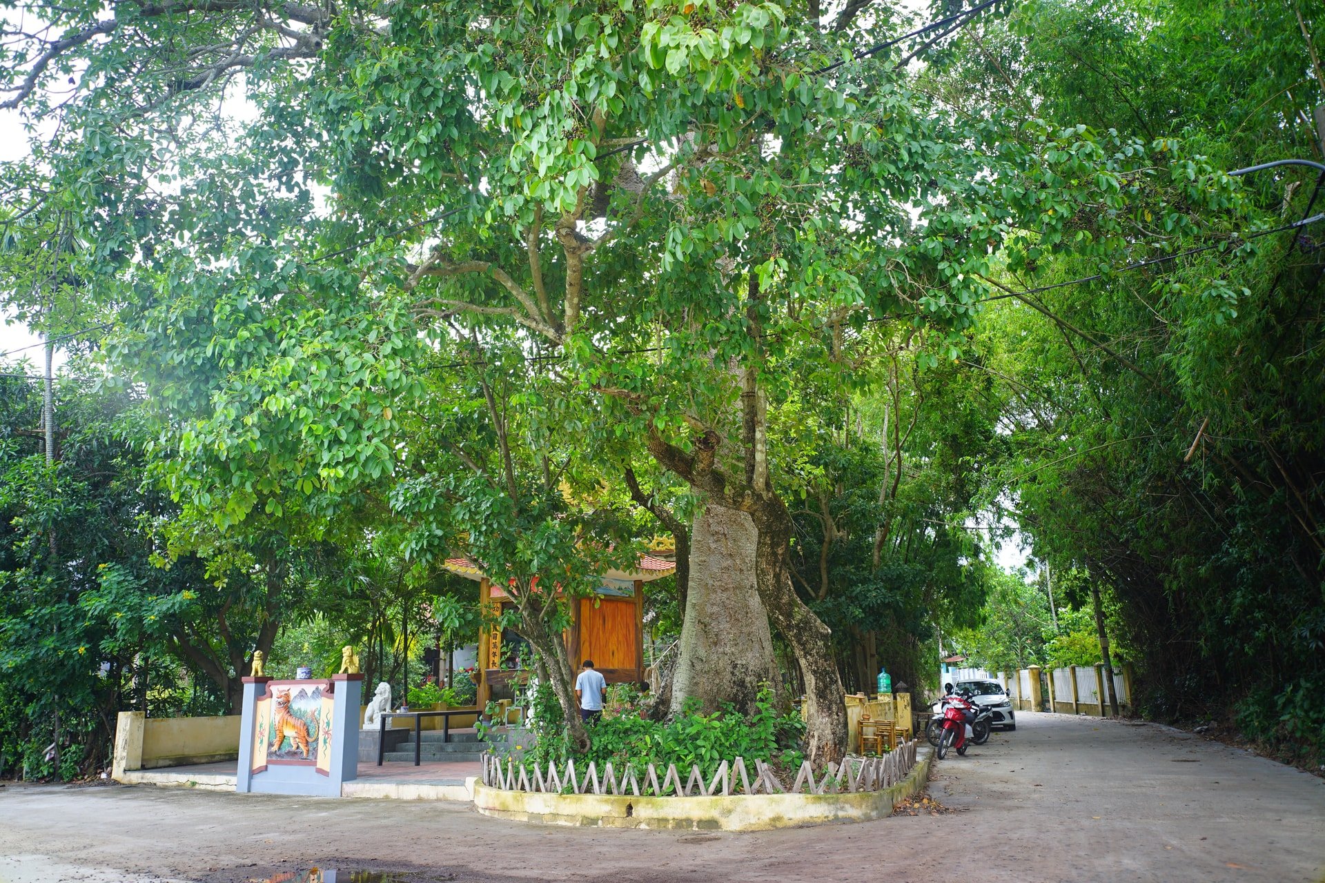 dsc00195(1).jpg