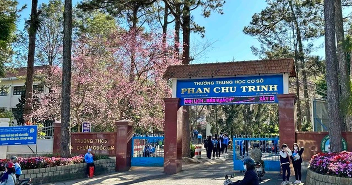 Lâm Đồng: Mở thêm trường học cho con em cán bộ, người lao động đến công tác