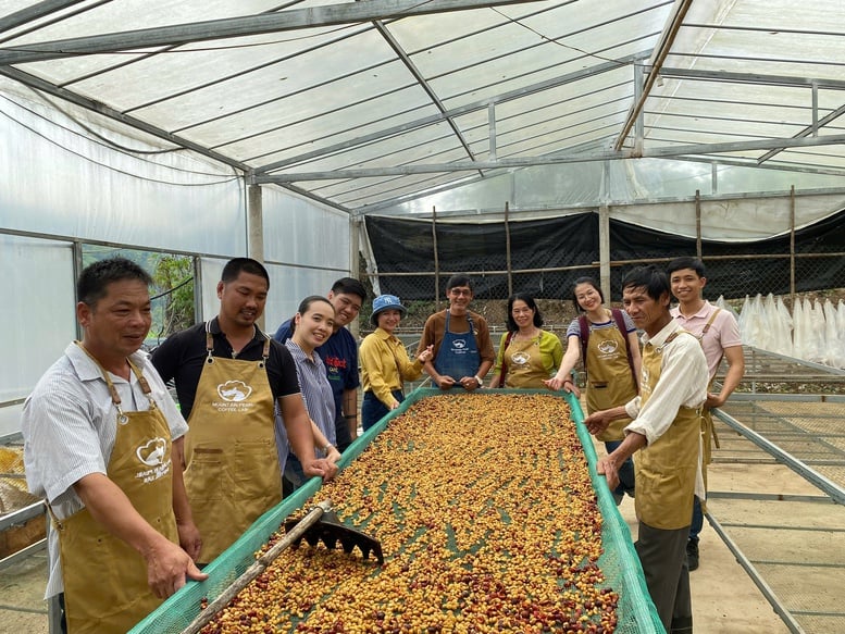 Khe Sanh (Quảng Trị) – Nơi mỗi hạt cà phê mang trong mình 'linh hồn' của đất và người- Ảnh 5.