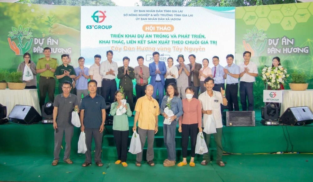 Phát động dự án trồng 100 triệu cây đàn hương trên vùng Tây Nguyên