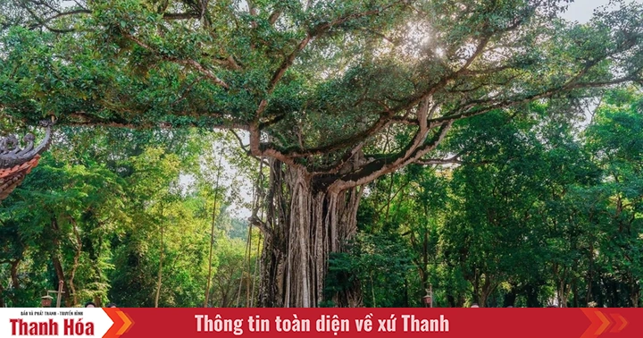 Định hình cách làm mới trong các cụm liên kết phát triển du lịch