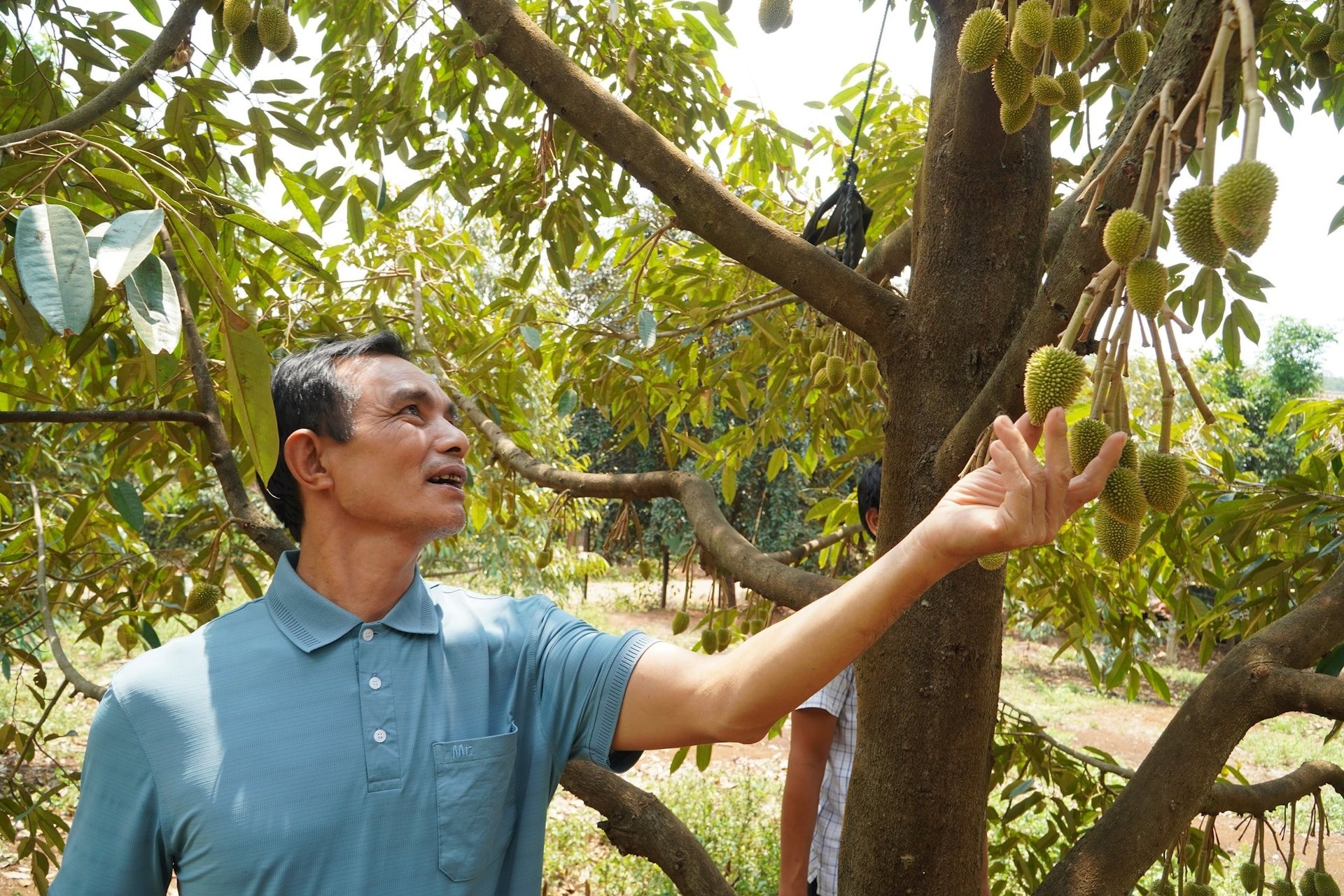 quảng tân5
