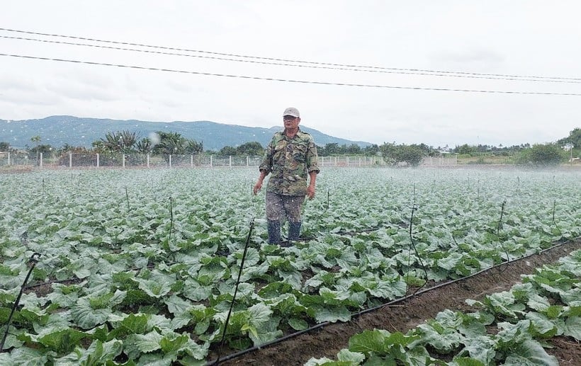 ong-ngoc-ap-dung-he-tuoi-nuoc-bon-phan-nho-giot-4887.jpg