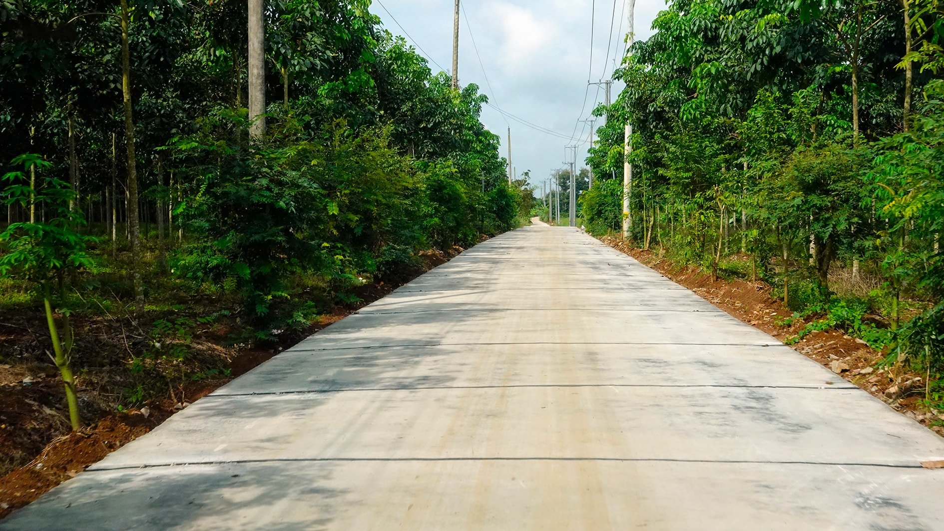 Đường giao thông nông thôn ở xã Trà Tân được bê tông hóa (ảnh N. Lân)