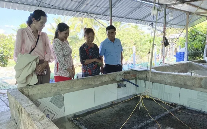 អមដំណើរសមាជិក