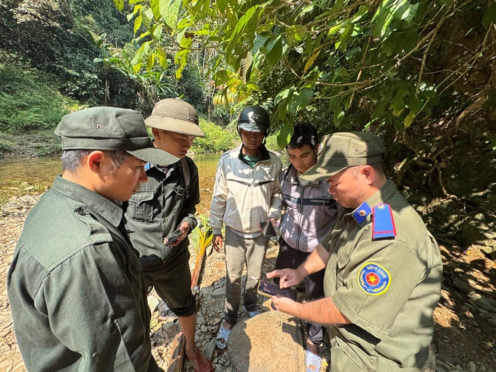 ការគ្រប់គ្រង និងការពារព្រៃឈើក្នុងលំហឌីជីថល - រូបថត ១