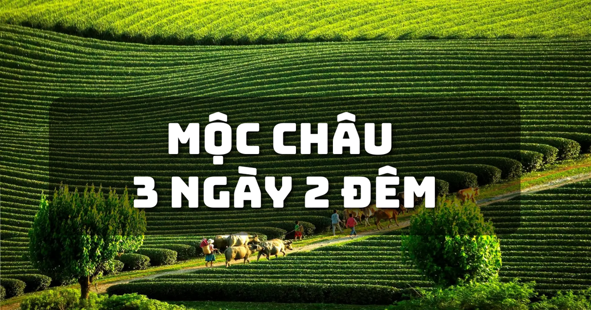ដំណើរកម្សាន្ត Moc Chau Mai Chau៖ ទទួលបានបទពិសោធន៍ពីគុជភាគពាយ័ព្យ ភ្នំតែបេះដូង