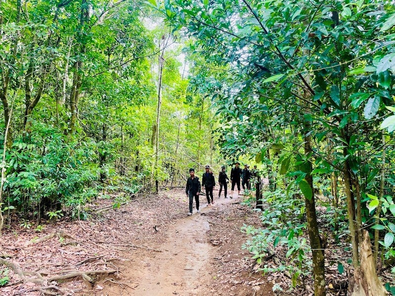 ការគ្រប់គ្រង និងការពារព្រៃឈើក្នុងលំហឌីជីថល - រូបថត ២